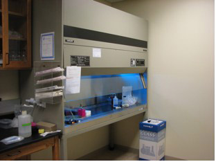 Cell Culture and Media Prep Rooms