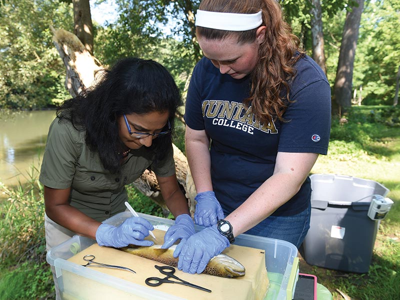 Trout research