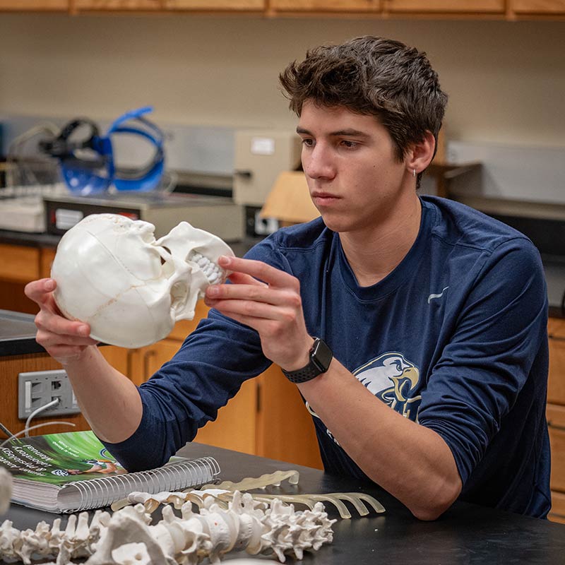 photo of exercise science and kinesiology class