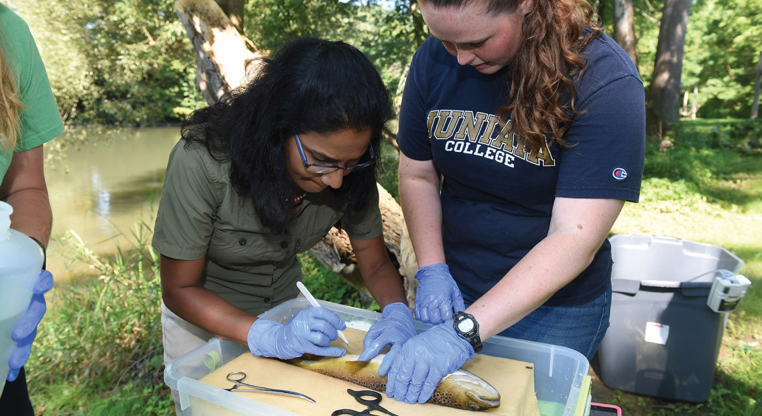 Trout research photo