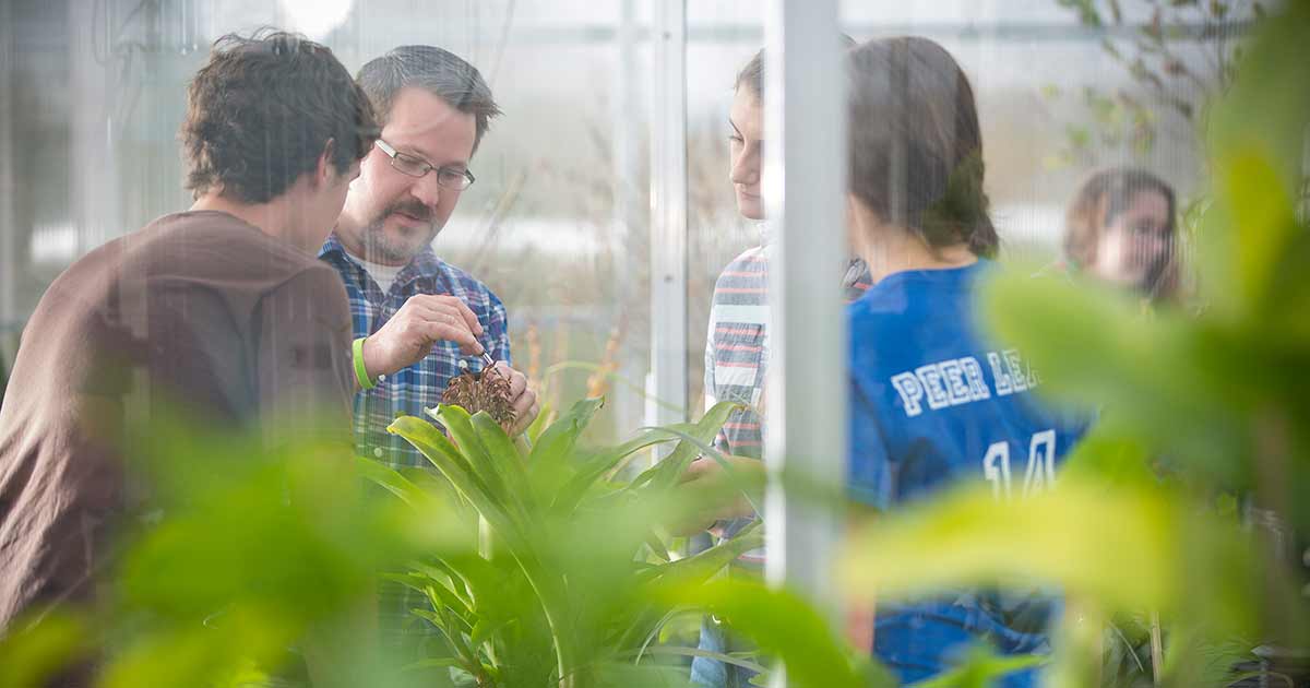 studying in the Glaeser Greenhouse