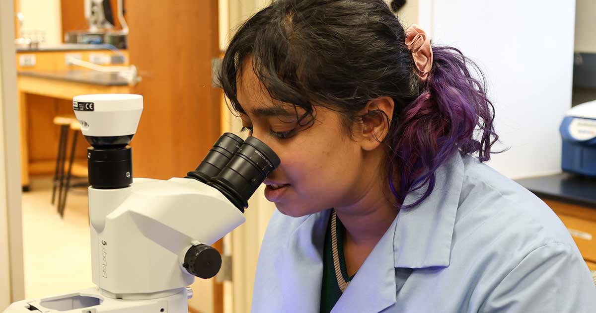 neuroscience lab research
