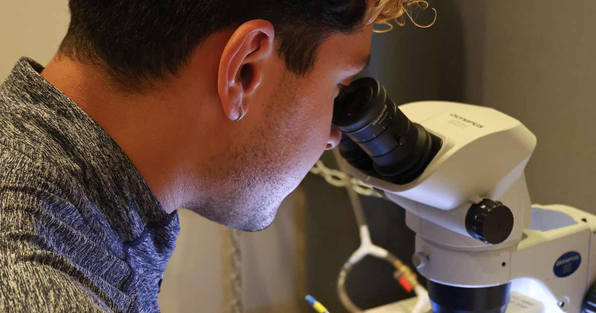 neuroscience lab research