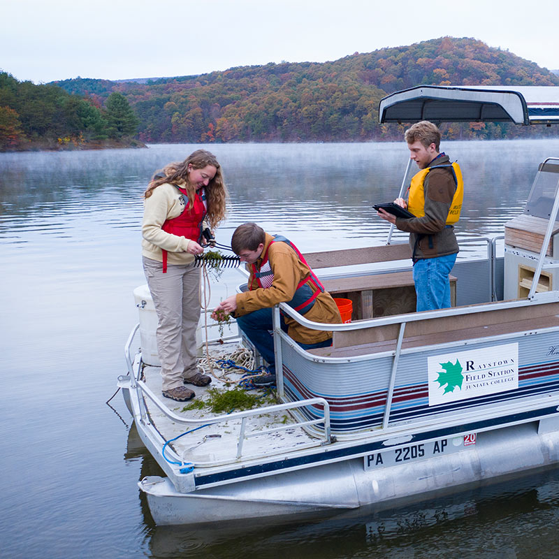 photo of plant research at Raystown Lake