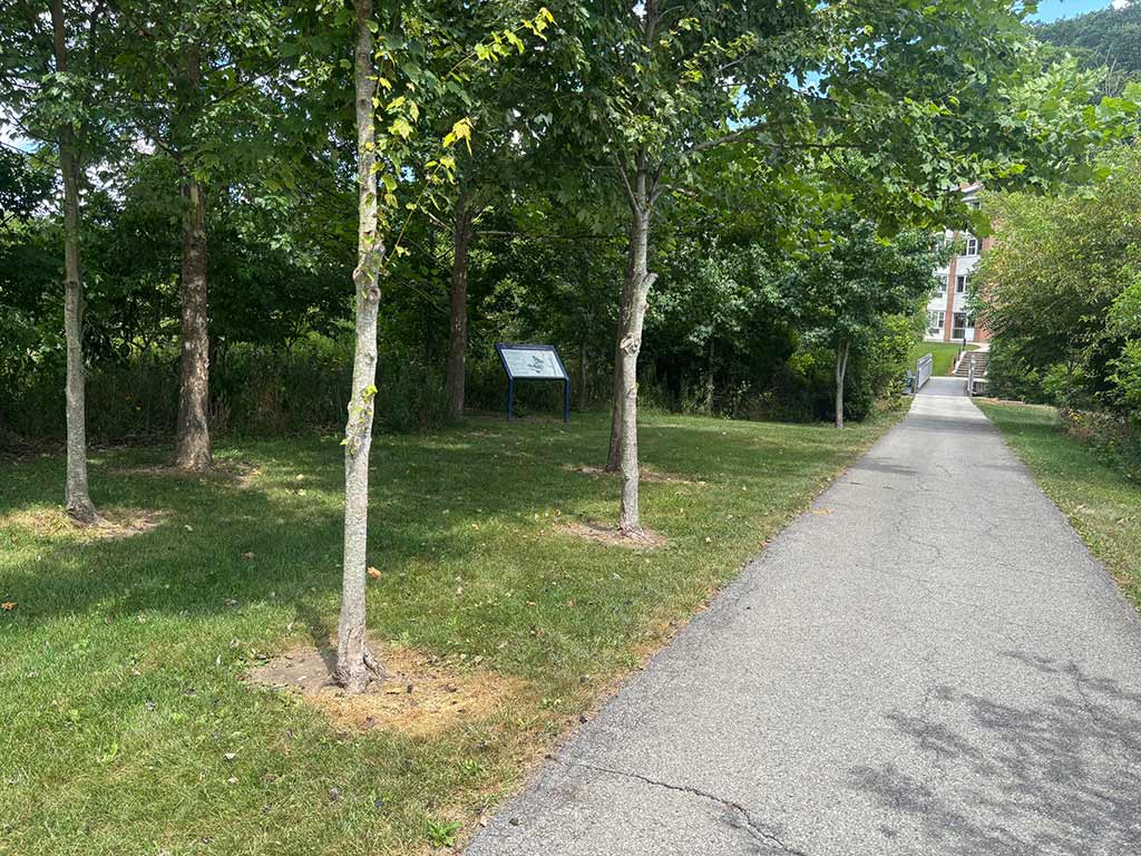 photo of Juniata College riparian buffer