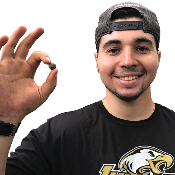 photo of volleyball action