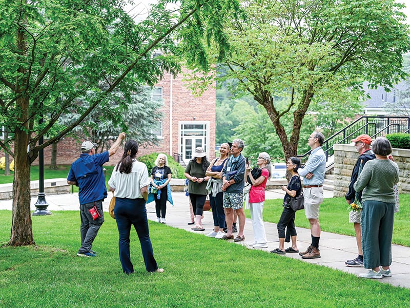 alumni weekend tree tour photo