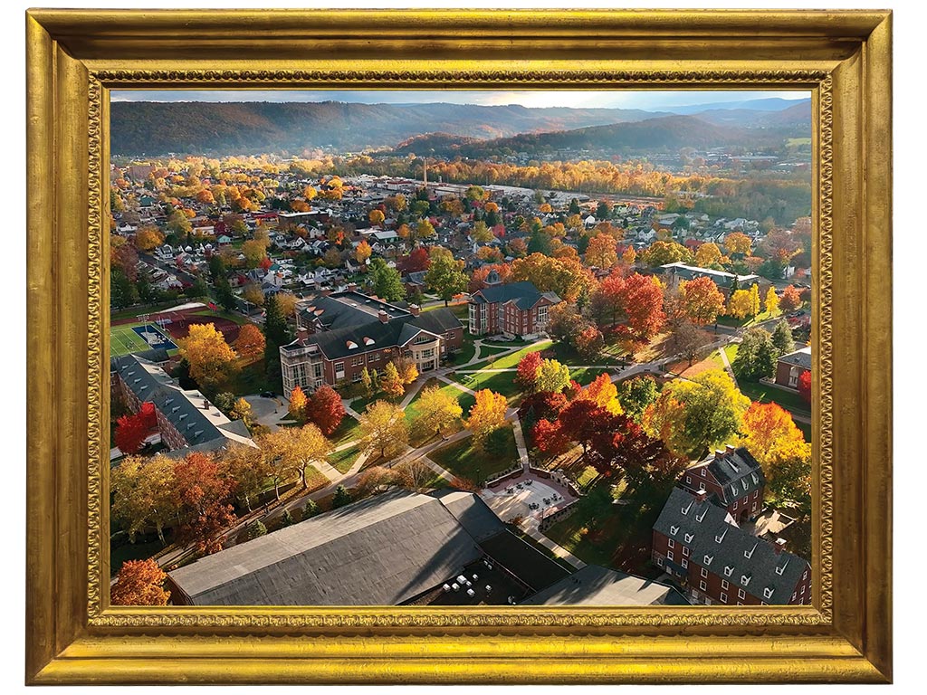 aerial photo of campus