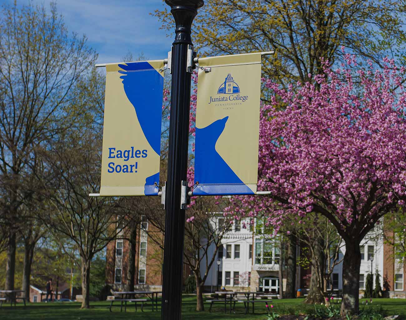 photo of banner on the quad
