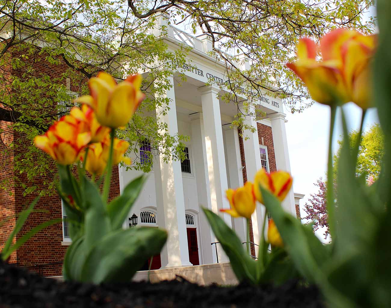 photo of the quad in spring