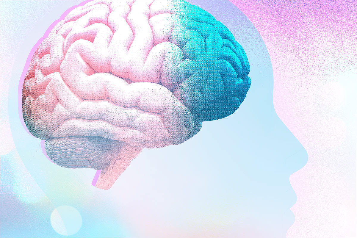 Illustration of human brain