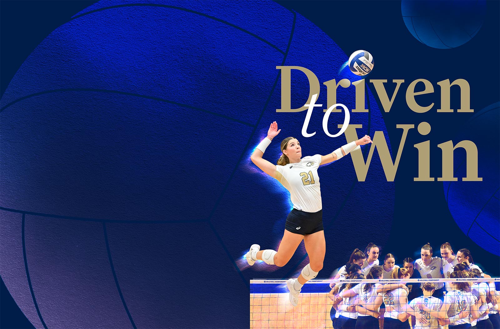 collage of womens volleyball team photos