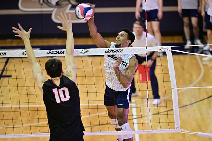 mens volleyball photo