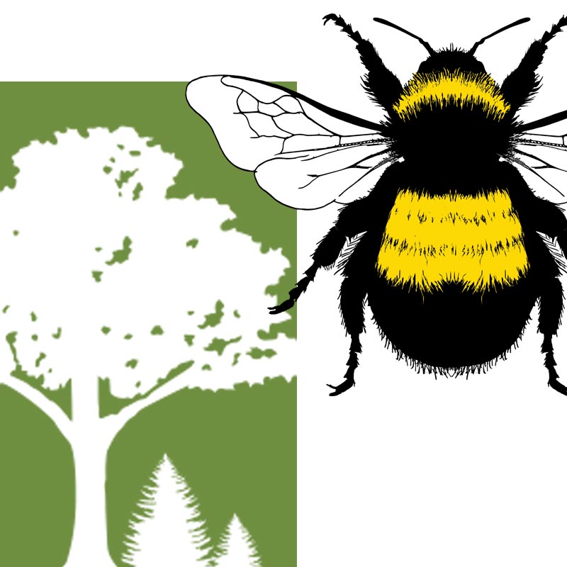 combination of arbor day and xerxes logos