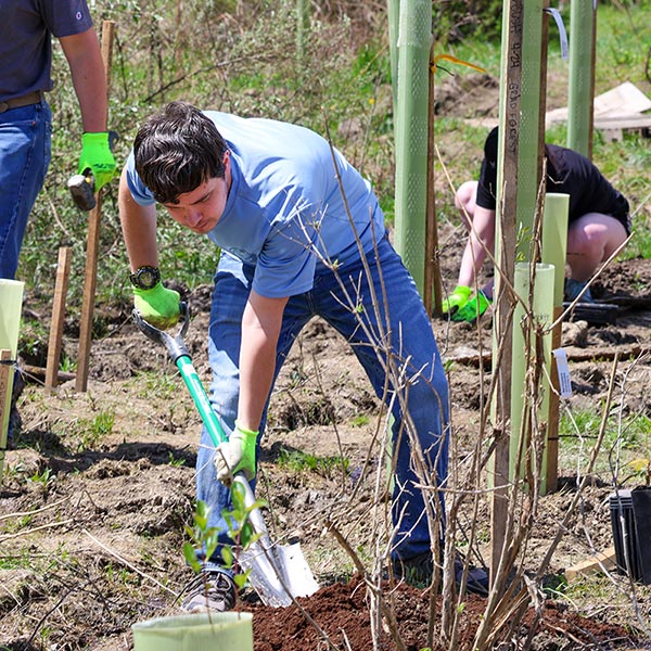 photo of students planting trees